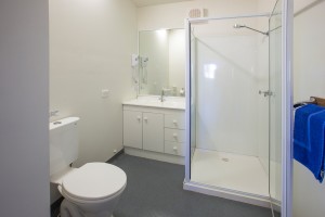Euston Club Resort Cabin 10 bathroom 