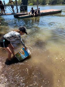 Fish Restock into Murray River 2024